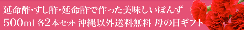 延命酢・すし酢・延命酢で作った美味しいぽんず500ml 各2本セット 沖縄以外送料無料 母の日ギフト