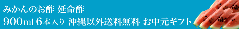延命酢900ml 6本入り 沖縄以外送料無料 お中元ギフト